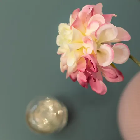 公寓 Alocasia Dream 锡耶纳