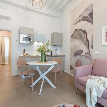 Alocasia Dream 锡耶纳