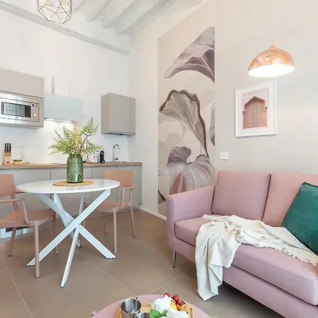 Alocasia Dream * 锡耶纳