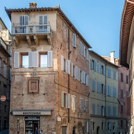 Alocasia Dream 公寓