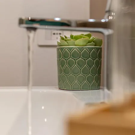 Alocasia Dream 公寓 锡耶纳