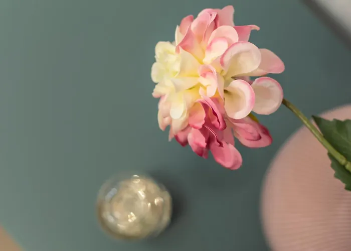 公寓 Alocasia Dream 锡耶纳