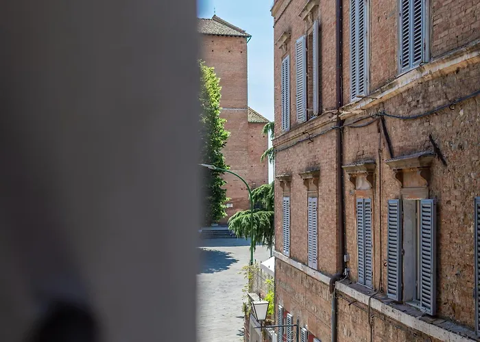 Alocasia Dream * Siena