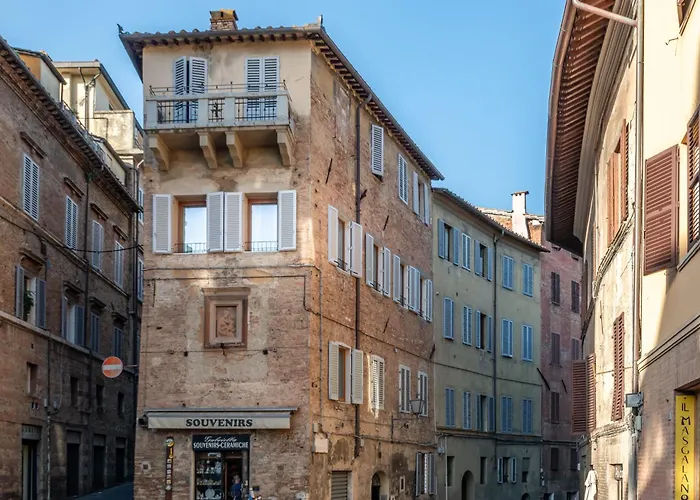 Alocasia Dream 公寓