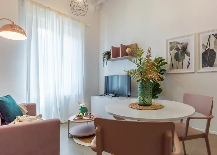 Alocasia Dream * 锡耶纳