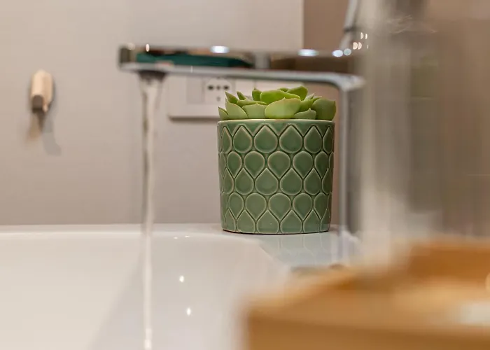 Alocasia Dream Apartment Siena