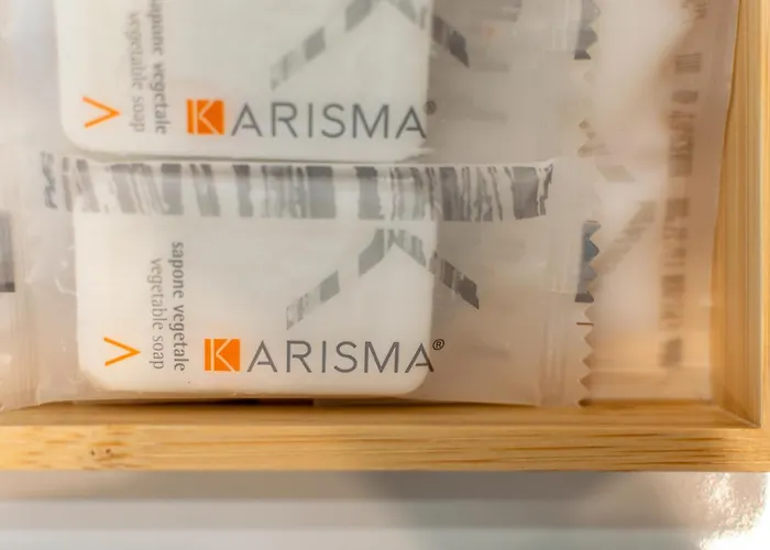 Alocasia Dream Siena