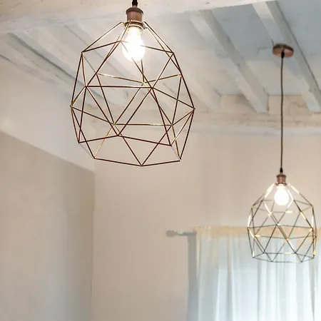 Alocasia Dream * Siena