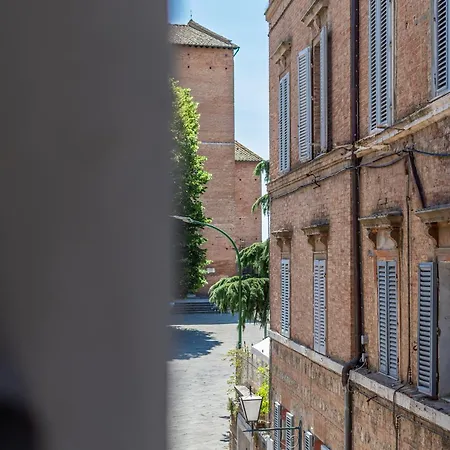 Alocasia Dream * Siena