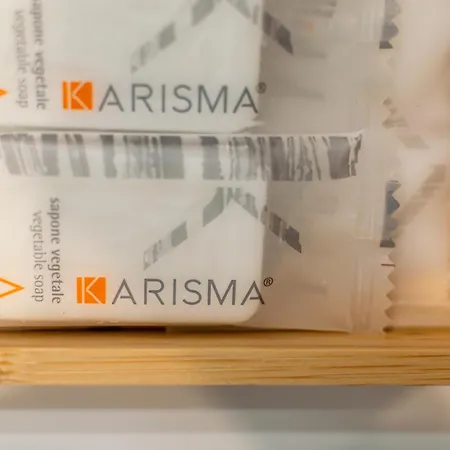 Alocasia Dream Siena