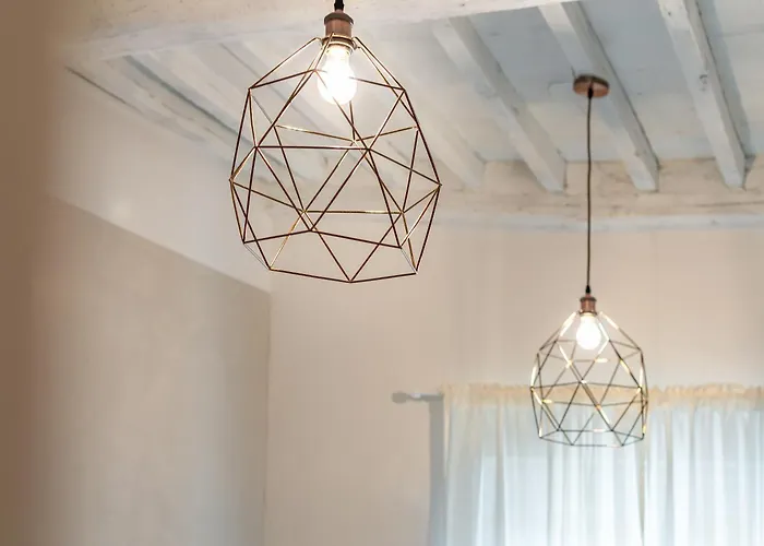 Alocasia Dream * シエーナ