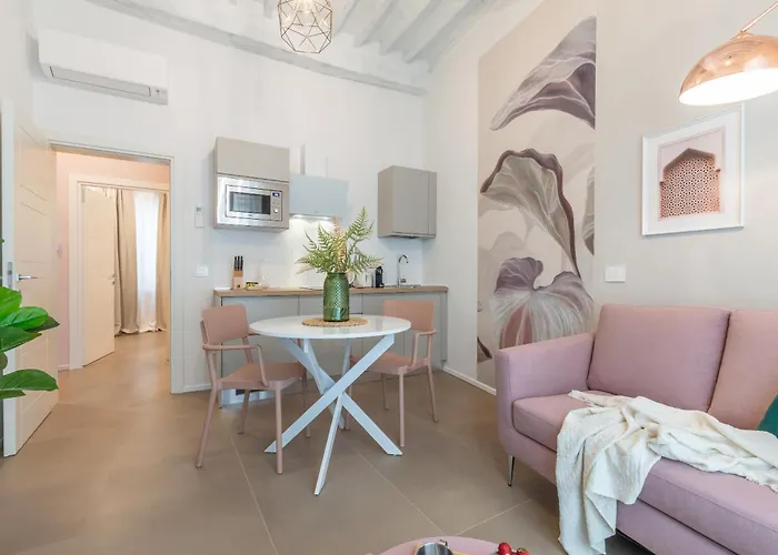 Alocasia Dream シエーナ