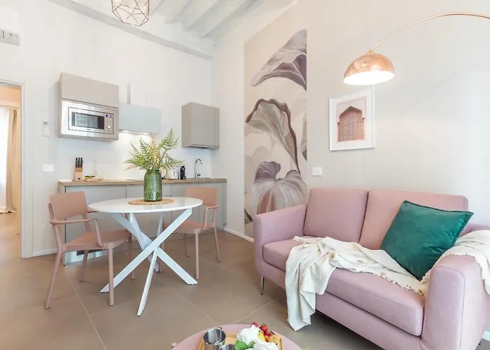 Alocasia Dream * シエーナ