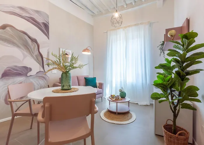 Alocasia Dream Siena