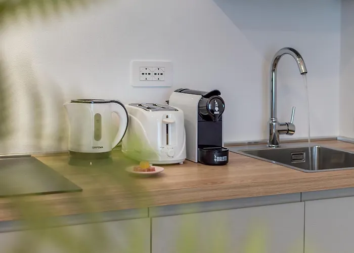 Alocasia Dream シエーナ