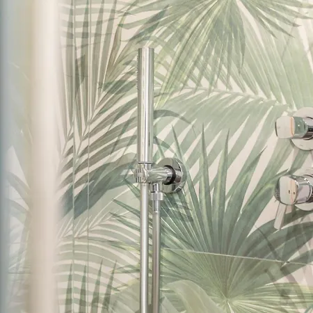 Daire Alocasia Dream