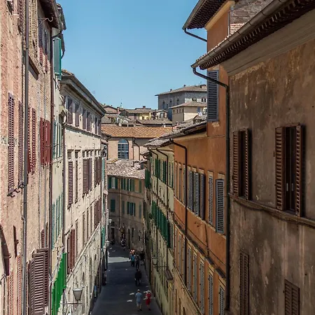 Daire Alocasia Dream Siena