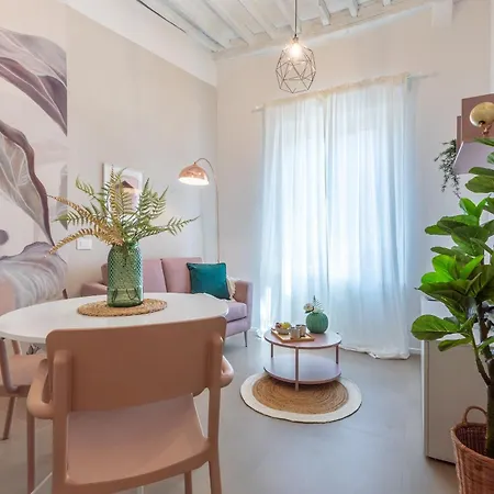 Alocasia Dream Siena