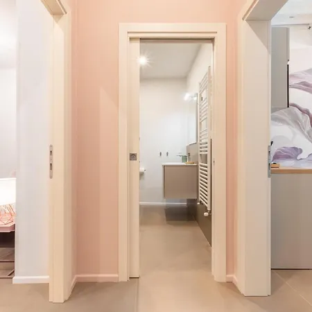 Alocasia Dream Daire